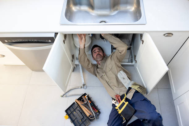 Best Plumbing Services Near Me  in Ralston, NE