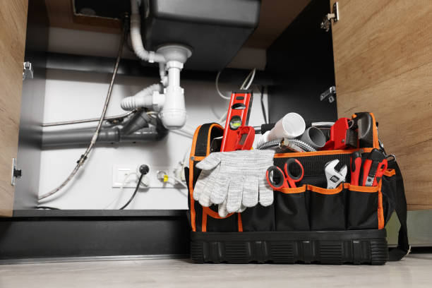 Best Septic Systems  in Ralston, NE